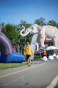 BIB: 
                            <button type="button" onclick="openModal(26544002)" class="btn btn-primary btn-sm float-right btn-popup" data-toggle="modal" data-target=".modal-high-quality">
                        <i class="fas fa-shopping-cart"></i> Add to Cart
                    </button>
                                            <button type="button" onclick="isThisMe(26544002, true)" class="btn btn-success btn-sm float-right btn-popup btn-isme hidden" data-toggle="tooltip" data-placement="bottom" title="นี่คือรูปของคุณใช่ไหม คลิกที่นี่เพื่อเอาเข้าอัลบั้ม">
                        <i class="fas fa-plus"></i> Add to album
                    </button>
                    <button type="button" onclick="isThisMe(26544002, false)" class="btn btn-warning btn-sm float-right btn-popup btn-isnotme hidden">
                        <i class="fas fa-ban"></i> Remove from album
                    </button>